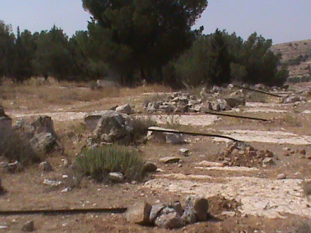 dsc00041