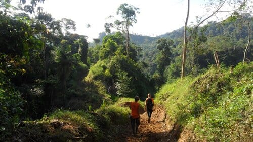 Camminando nella foresta colombiana!