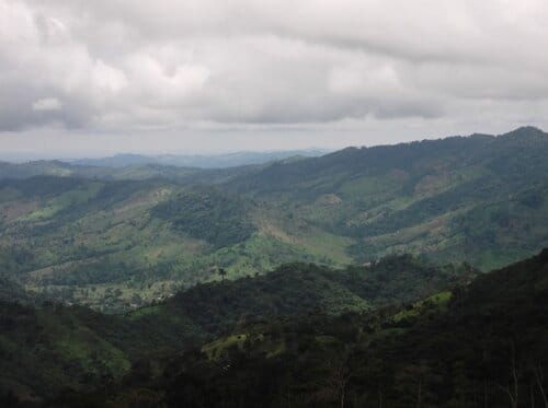 selva colombiana