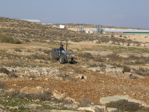 settlers plowing in meshaha valley1