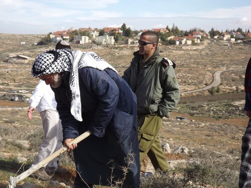 Three Palestinians arrested while working the land close to Suseya
