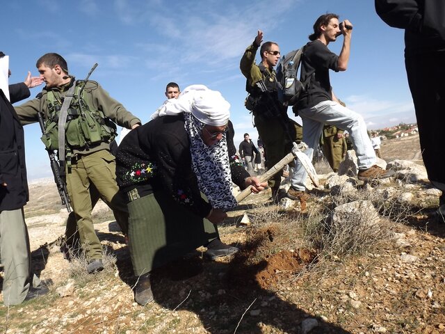 Three Palestinians arrested while working the land close to Suseya