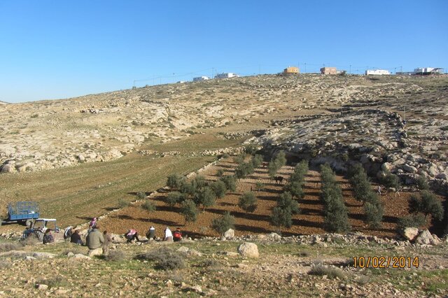 Palestinians ready to go on their fields on the hill's top, close to Avigayil illegal outpost