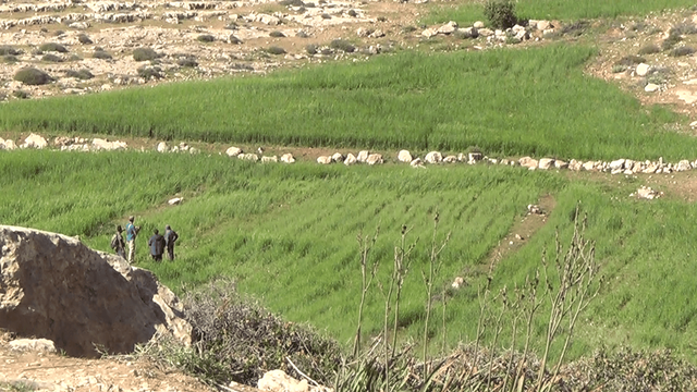 2014-03-28 South Hebron Hills: primary Palestinian resources damaged by Israeli settlers
