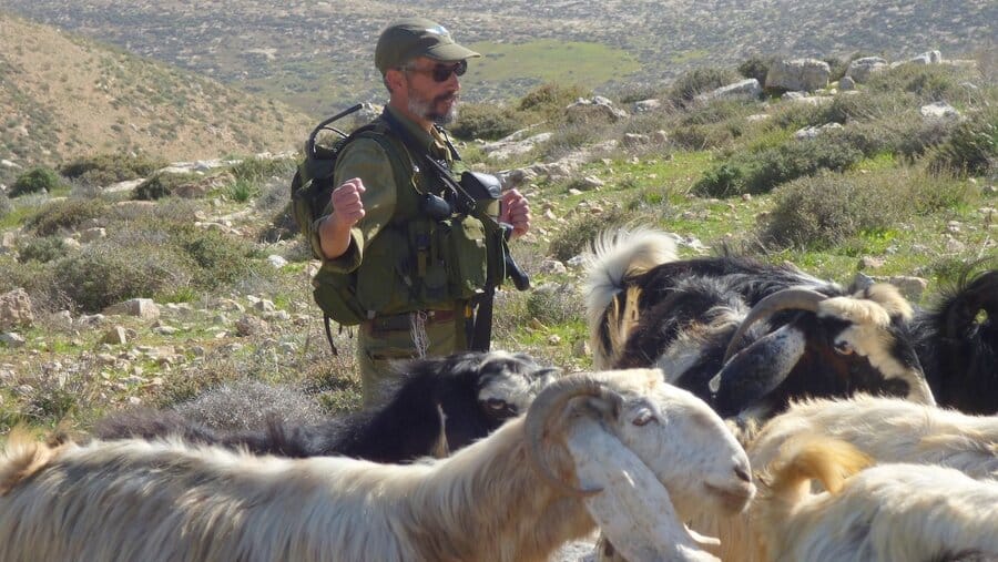 2016-02-14 Soldati israeliani trattengono un pastore palestinese nelle colline a sud di Hebron