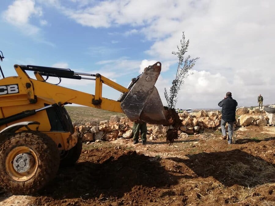 2018-12.-31 Esercito israeliano sradica alberi