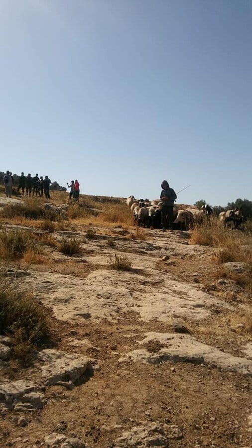 2019-06-20 militari israeliani impediscono ai pastori palestinesi l'accesso alle loro terre