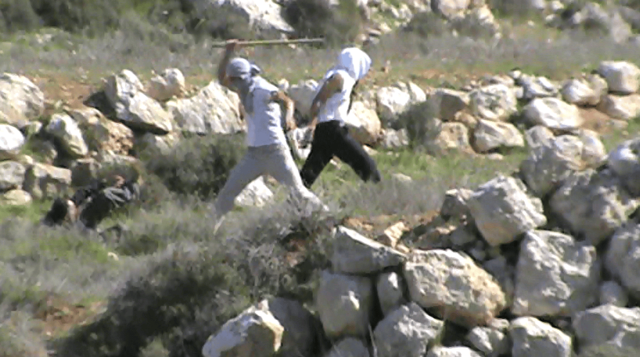 2014-02-08 Settlers attack Palestinian shepherds, Israeli activists and internationals during nonviolent action in South Hebron Hills