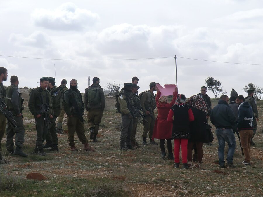 2014-02-15 Palestinian activists successfully plant 100 olive trees on fields targeted by settlers in South Hebron Hills